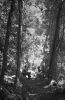 Walkers enjoying a break on the track, circa 1930s.