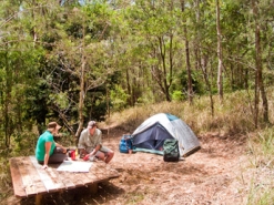 Image of Wongai walkers' camp, Conondale Range Great Walk.