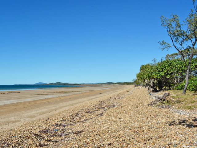 The best way to explore this national park is on the Cape Palmerston drive.
