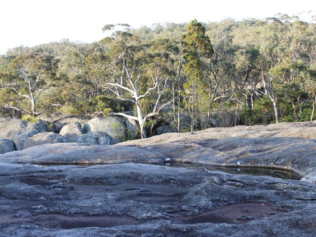 Discover water-sculpted rocks and swirling eddies of Bald Rock Creek on the Underground Creek track.