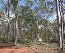 Driving through Coominglah State Forest.