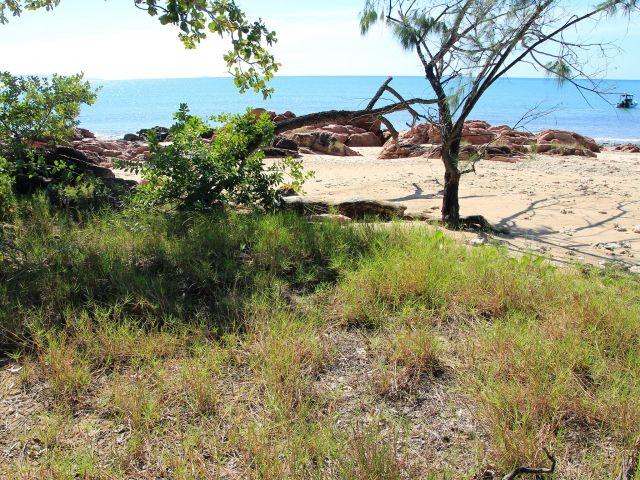 You'll have beach views from your tent at Agnes Beach camping area.