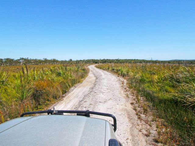 Wind through low-lying wallum wetlands when you four-wheel drive along Poverty Point Road.