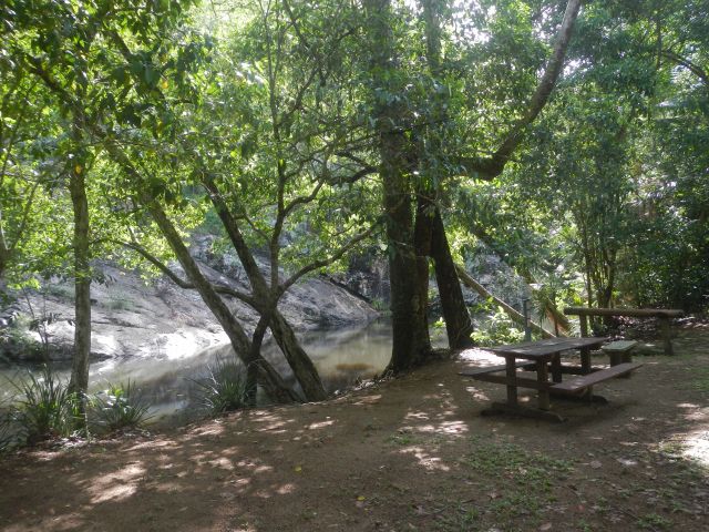 Picnic table under a tree