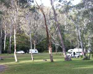 Manna Gum camping area. 