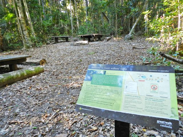 Feel the temperature drop in the sheltered rainforest of this walkers' camp.