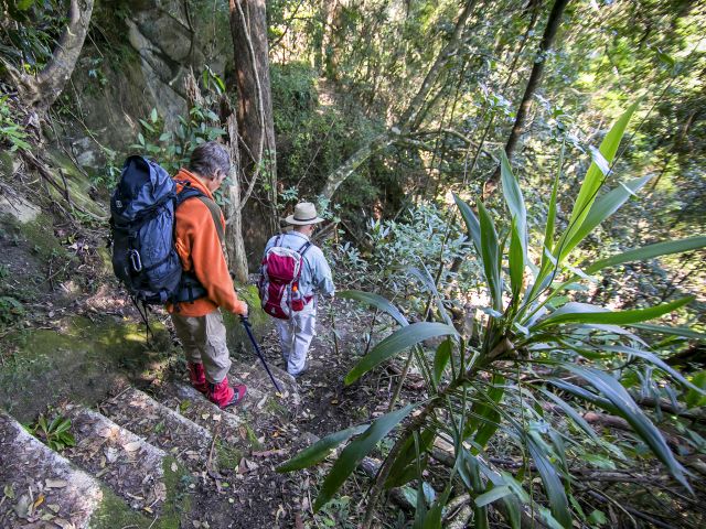 The Gwongoorool track has about 200 steps!