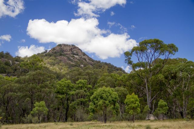 Castle Rock dominates the skyline above this camping area.