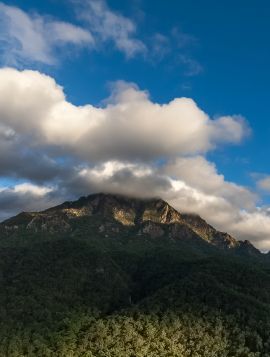 Mount Barney's peaks are often in cloud. This can significantly reduce visibility. For your safety, stay where you are until the clouds lift. This may mean staying out overnight. 