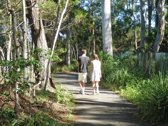 The track is an easy 1.8km return walk.