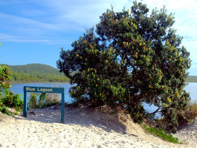 The Blue Lagoon track leads to the dune sand blow on the lake.
