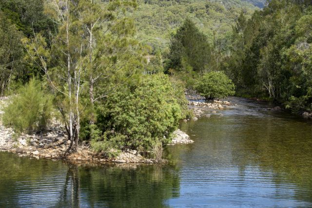 Paradise waterhole