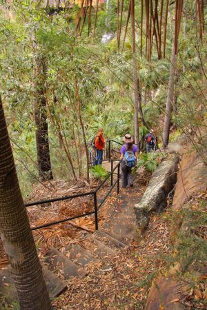 Venture down a series of steep steps and stairs to Gudda Gumoo Gorge.