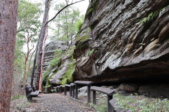 An outdoor rock art site featuring large, weathered rock formations with visible ancient paintings. Tall trees surround the area, and a wooden railing guides visitors along a pathway for viewing the artwork safely.