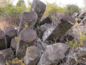 Columnar basalt, Mount Scoria Conservation Park. 