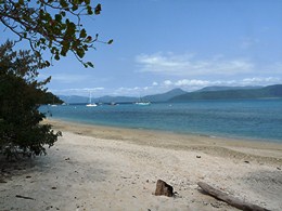 Image of the beach at Fitzroy Island where there are several A-class public moorings.