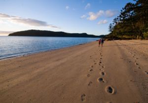 Never leave anything but your footprints behind. 