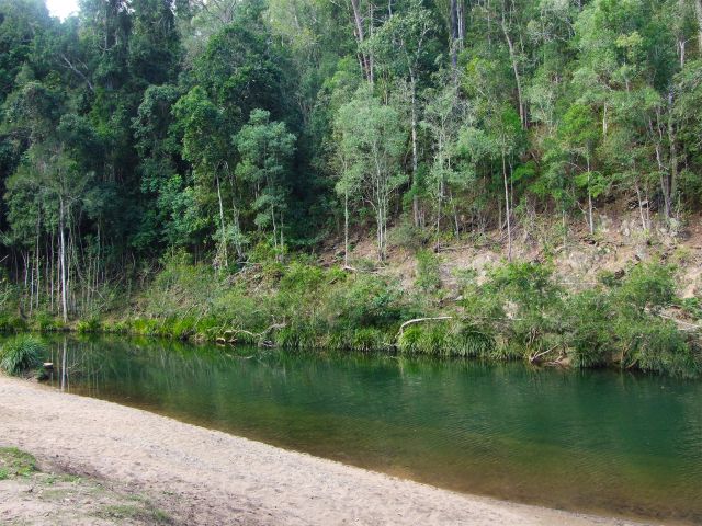 Little Yabba Creek runs alongside Charlie Moreland camping area.