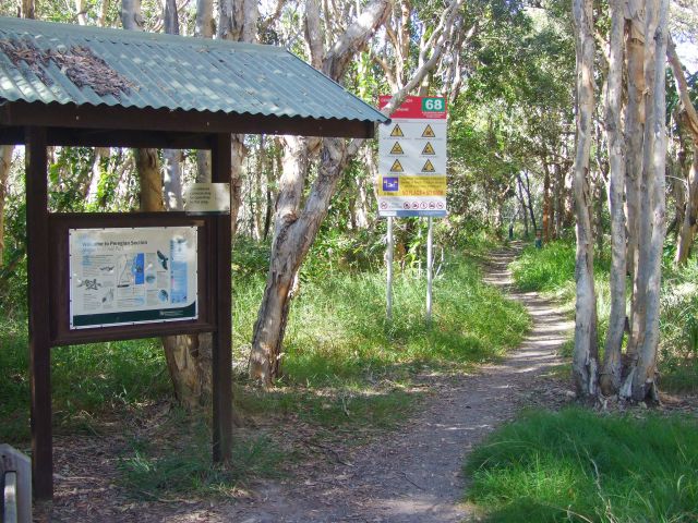 The Ocean Beach Walk is in the Peregian section of Noosa National Park.