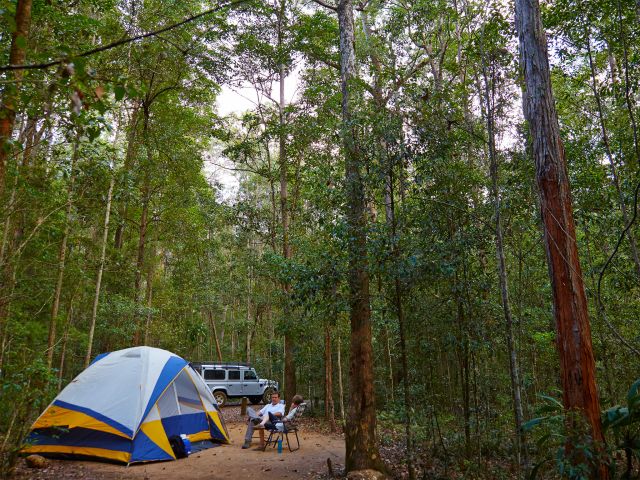 Photo of the Neurum Creek camping area, nestled in tall forest.