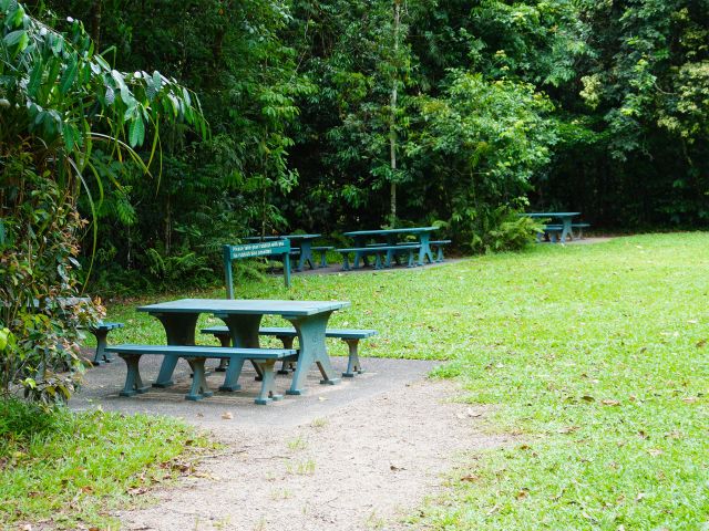 Mossman Gorge day-use area has toilets and picnic tables.