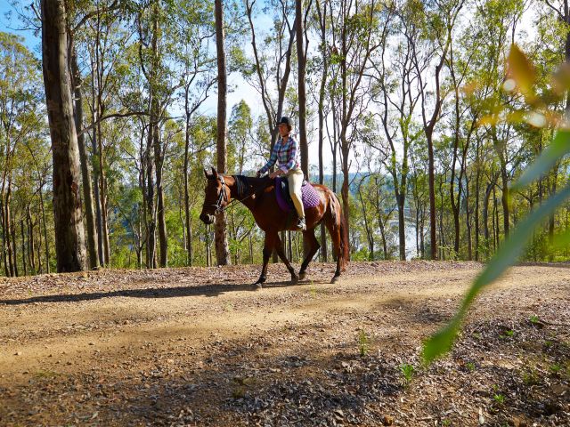 The trail is for walkers, mountain bike riders and horseriders.