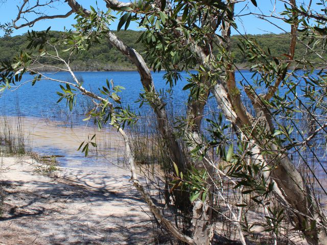 Spend time snapping photos as take-home memories of your Great Walk adventure.