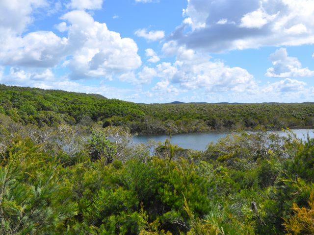 Honeyeater Lake is a pristine freshwater perched lake surrounded by sedges and heathland.