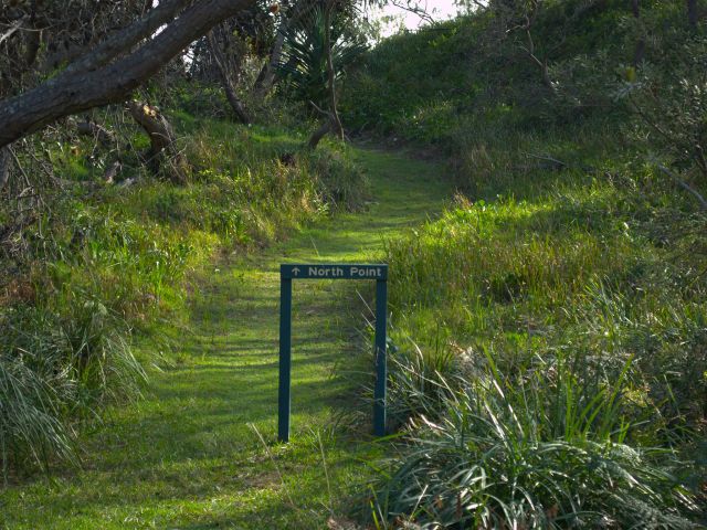 Track from Honeymoon Bay to North Point.