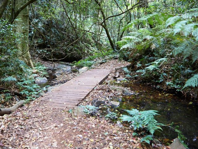 Meander through lush, green rainforest on the Barker Creek circuit.