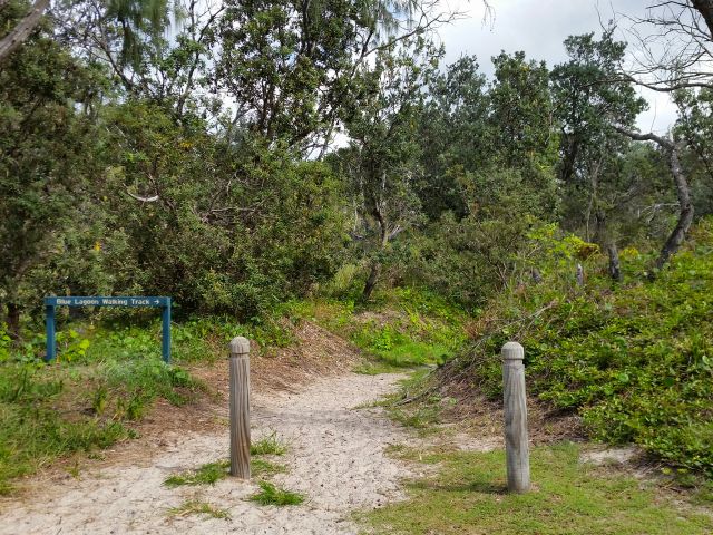 The Blue Lagoon track starts at the Blue Lagoon camping area.