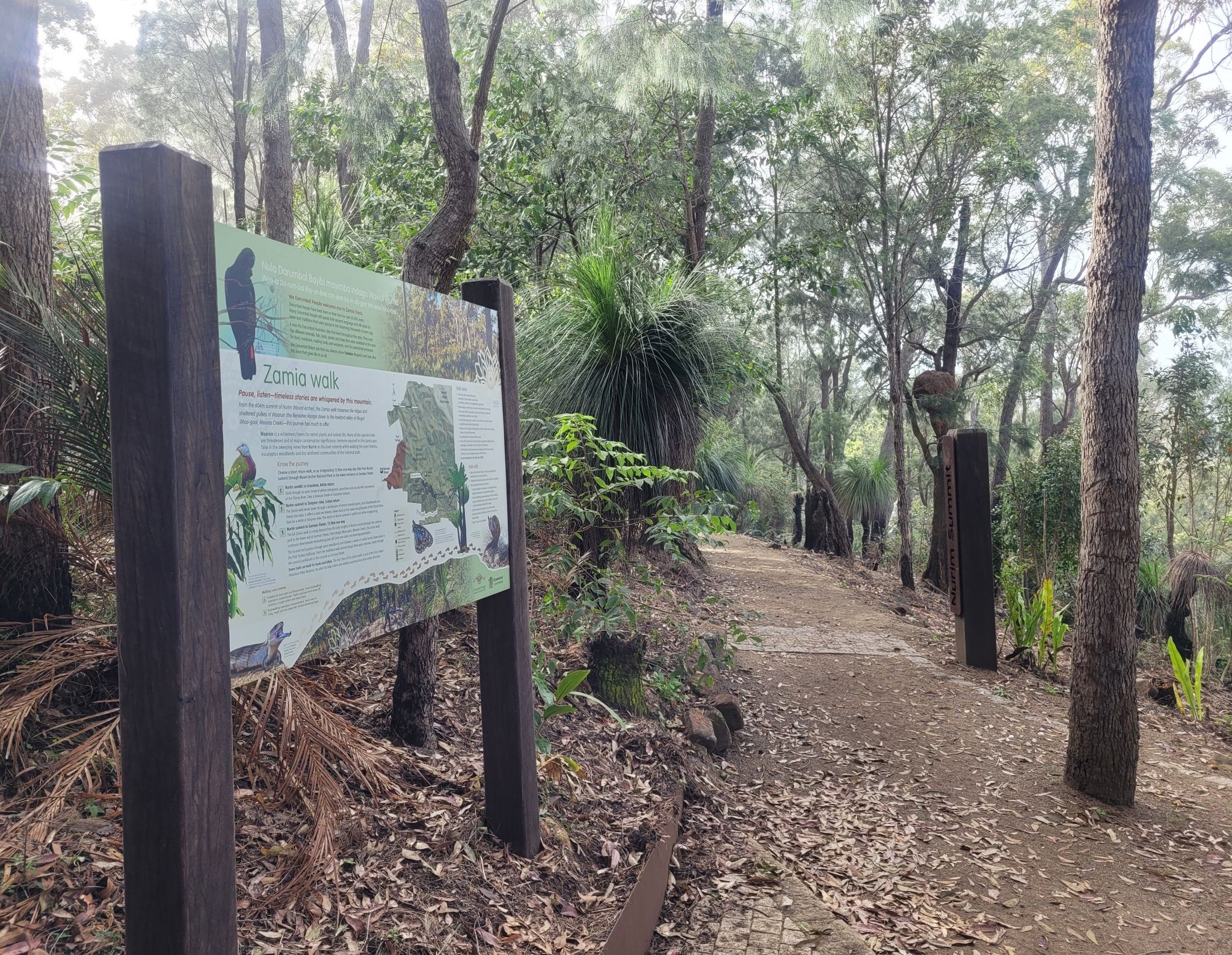 Zamia walk trailhead at Nurim summit (Fraser Park).