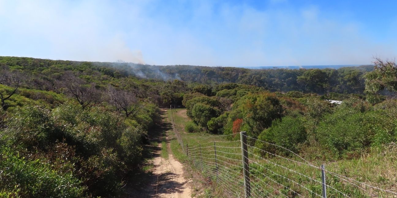 A fire break road alongside a barbed wire fence, with scrub type trees to the left, and the smoke from a planned burn in the distance. 