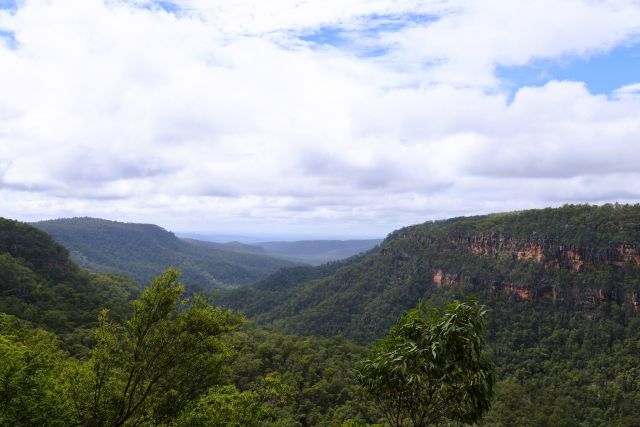 A scenic view from Mook Mook lookout of a lush green valley under a cloudy sky with dense trees and distant hills and escarpment in the foreground. 