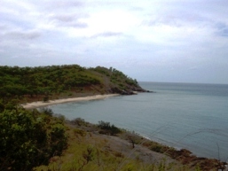 Possession Island is covered woodland and open heath. 