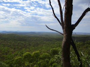 Views from the lookouts reach far into the distance, with little evidence of human habitation.