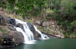 Image of creek cascades which are a feature on the walk to Boolumba Falls.