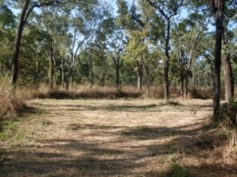 Photo of Camp site 1 at Kennedy Bend camping area.