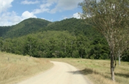 Image of the road view, Booloumba Creek Road to camping areas.