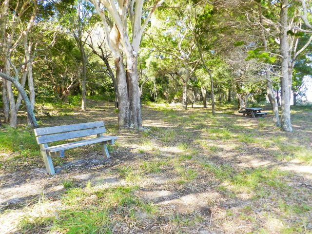 The Birdwatcher track ends at an open, grassed picnic area shaded by eucalypts.