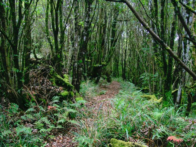Hike to the summit of Mount Hobwee.