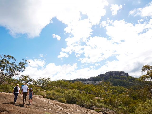Mount Norman walk passes through gently sloping open areas dotted with wildflowers in spring.
