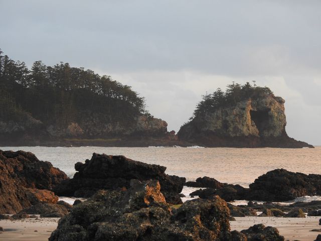 Rock pools are waiting to be explored on the beach at Cape Hillsborough day-use area.