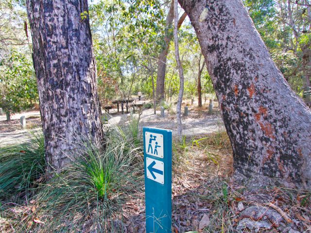 The Ganoonga Noonga lookout track is a short but steep walk.