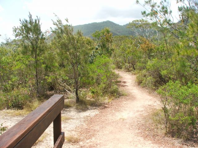 See colourful heath plants close-up, with Mount Tozer as a scenic backdrop, on this easy walk.