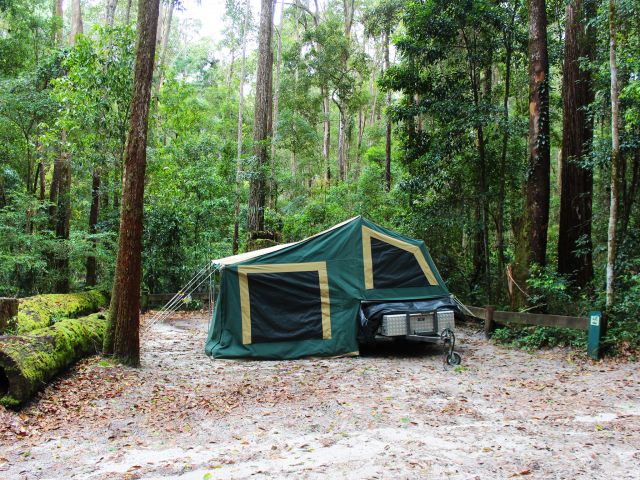 Camp a world away from the everyday, nestled in tall rainforest.