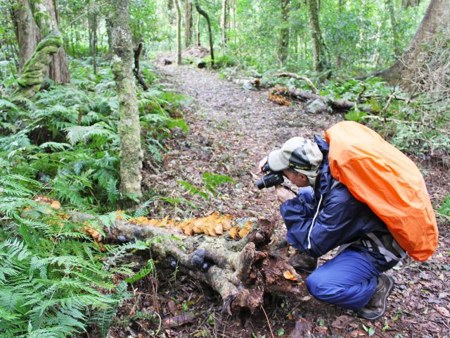 The rainforest is full of photographic opportunities so remember your camera!