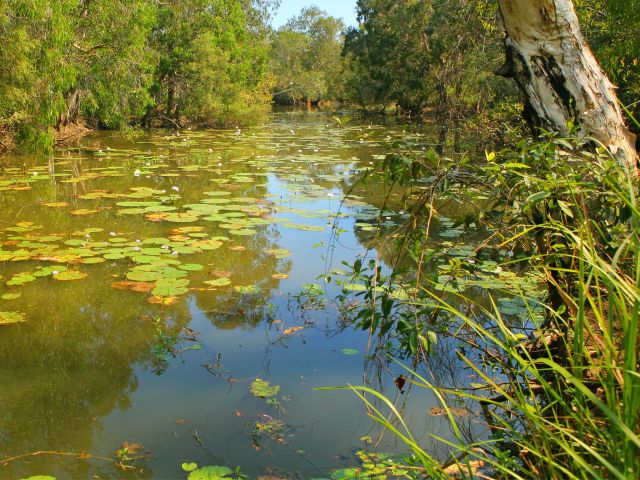 The lagoon is often sprinkled with water lilies.