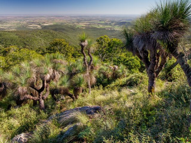 Head to the summit of Mount Kiangarow, the Bunya Mountains’ highest peak.