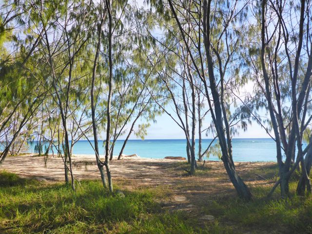 Pitch you tent under the casuarina trees and enjoy lagoon views.